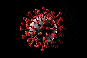 病毒3D医疗模型