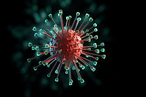 病毒细菌立体模型