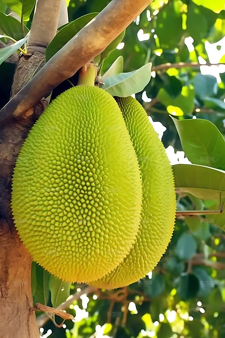 波罗蜜水果美食摄影图