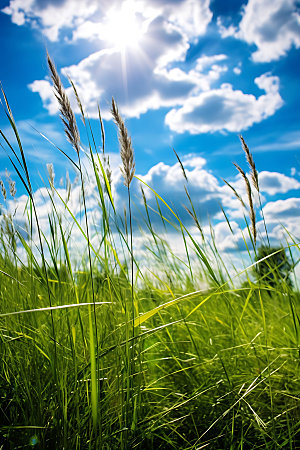 草原自然高清摄影图