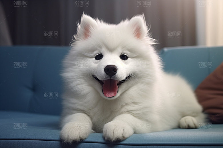 宠物可爱3D模型
