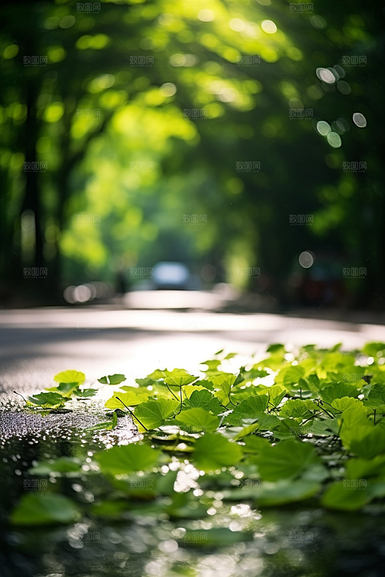 处暑清凉夏日摄影图