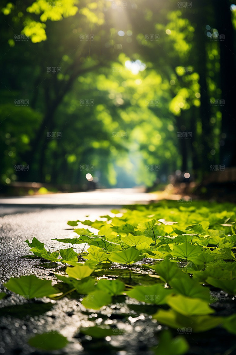 处暑夏末通透摄影图