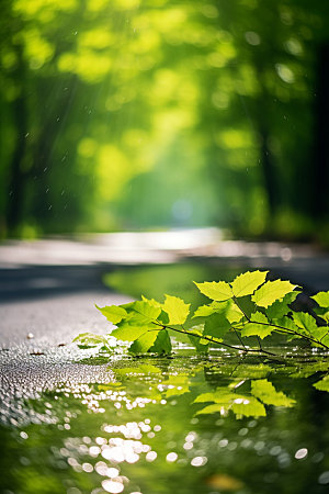 处暑夏末节气摄影图