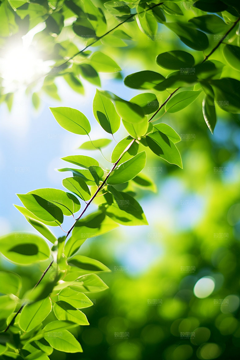 处暑夏末自然摄影图