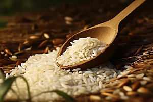 大米食材粮食摄影图