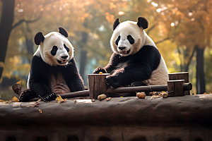 大熊猫自然保护动物摄影图