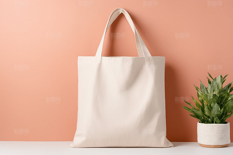 帆布包产品简约样机