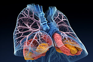 肺部构造医药光效插图