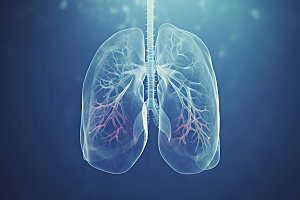 肺部构造医疗人体透视插图