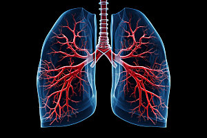 肺部构造人体透视内脏插图