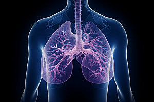 肺部构造医药医疗插图