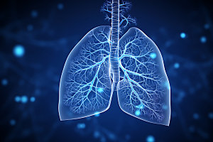 肺部构造医学人体构造插图