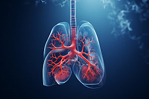 肺部构造医疗内脏插图