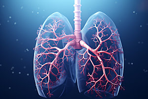 肺部构造医药人体透视插图