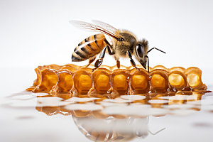 蜂蜜罐甜蜜食品摄影图