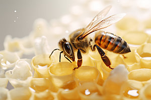 蜂蜜罐美食蜂蜜瓶摄影图