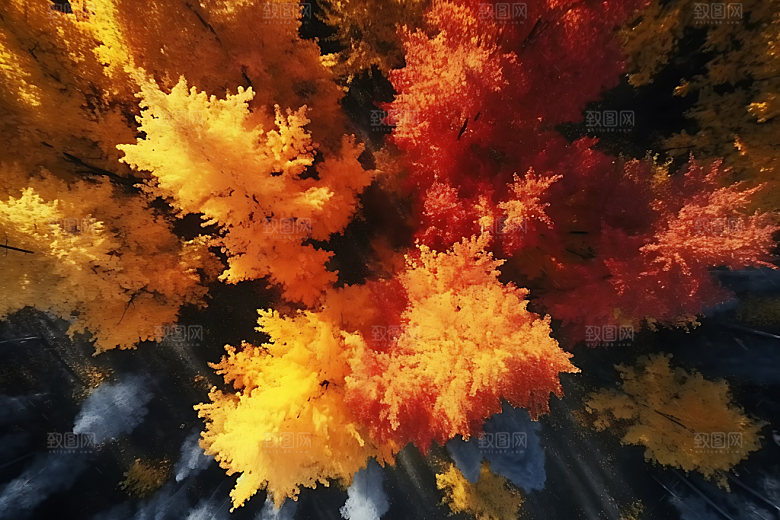枫叶深秋晚秋摄影图