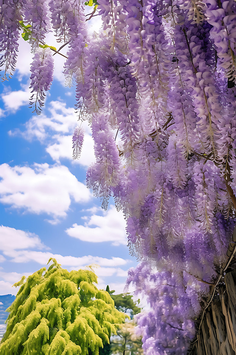 花园高清绿植摄影图