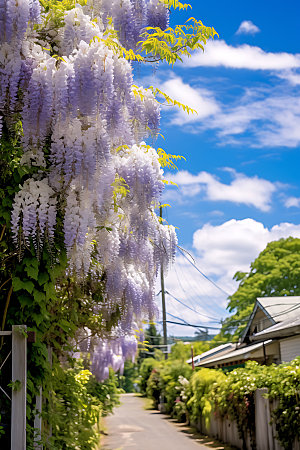 花园植物园景观摄影图