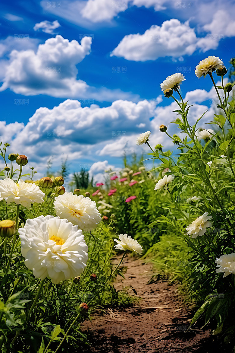 花园花卉景观摄影图