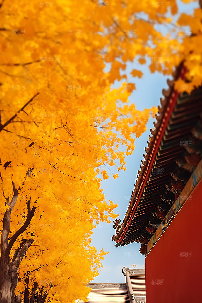 故宫银杏古建筑秋叶效果图