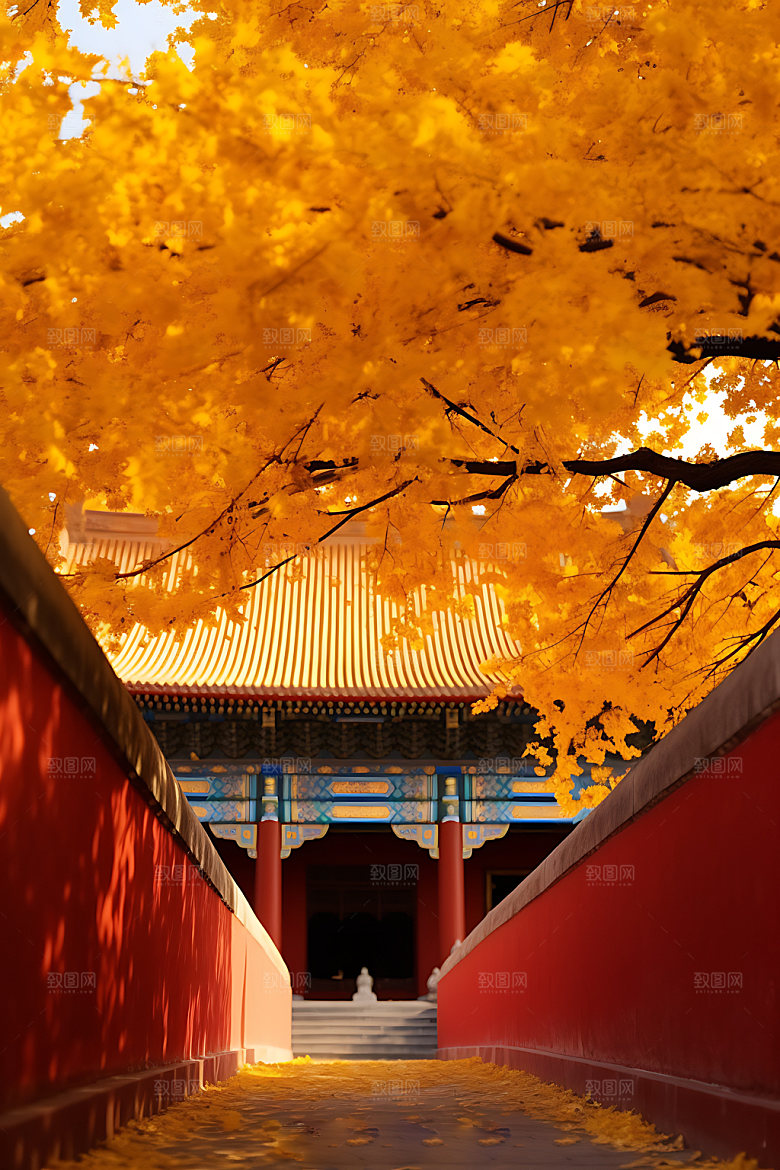 故宫银杏秋天古建筑效果图