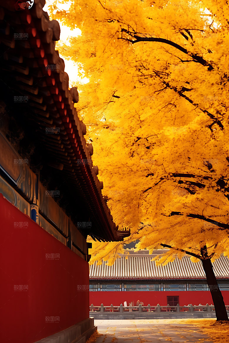 故宫银杏秋日实景效果图