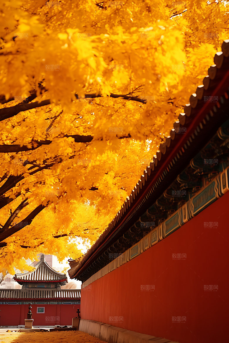 故宫银杏实景秋日效果图