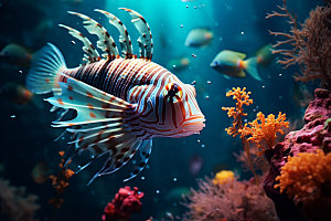 海底世界环保海洋生物摄影图