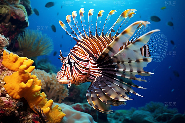 海底世界海洋生物环保摄影图