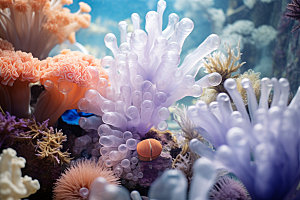 海底世界高清蓝色摄影图