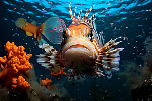 海底世界自然环保摄影图