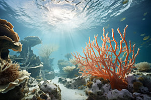 海底世界环保大海摄影图