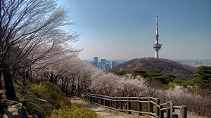 韩国旅游高清摄影图