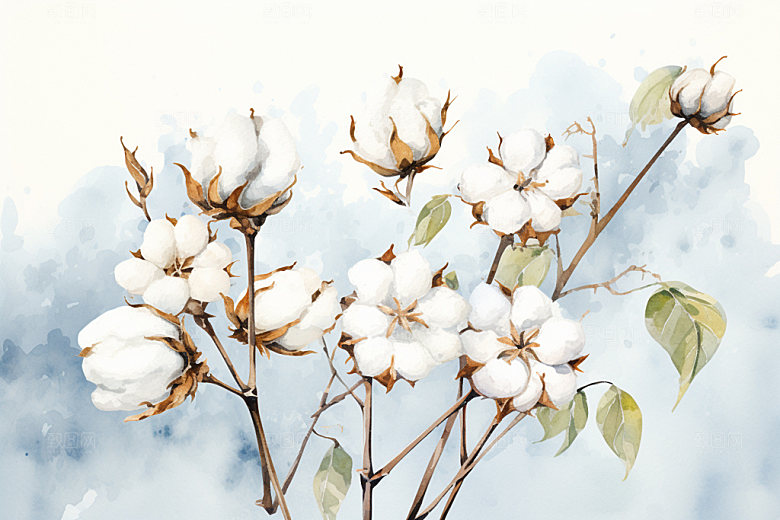 寒露传统节气插画