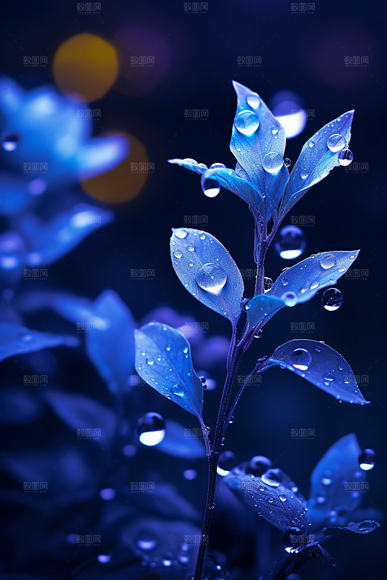 寒露秋季秋天摄影图