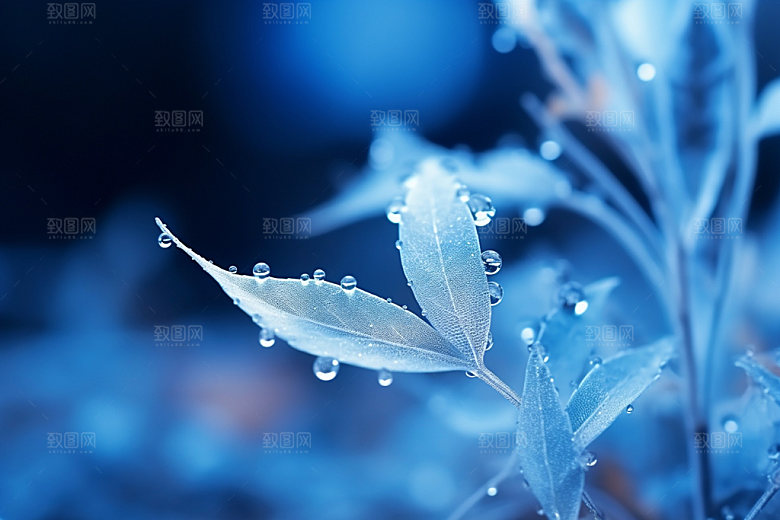 寒露应季十月摄影图