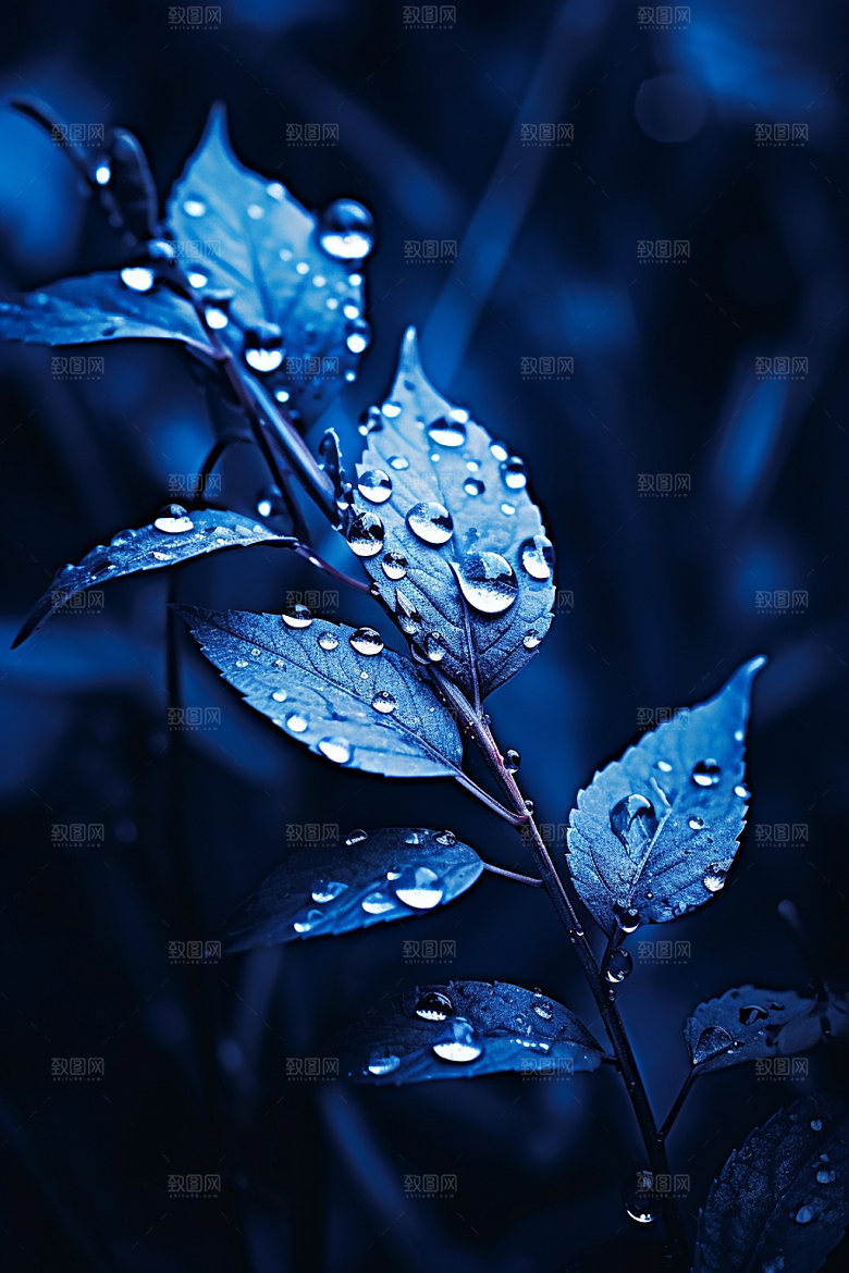 寒露节气季节摄影图