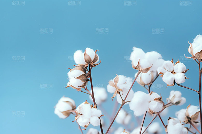 寒露秋季高清摄影图