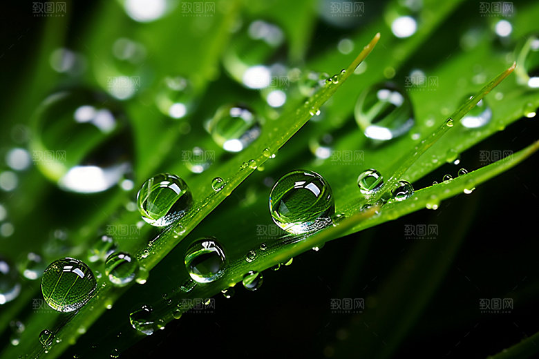 寒露节气风物摄影图