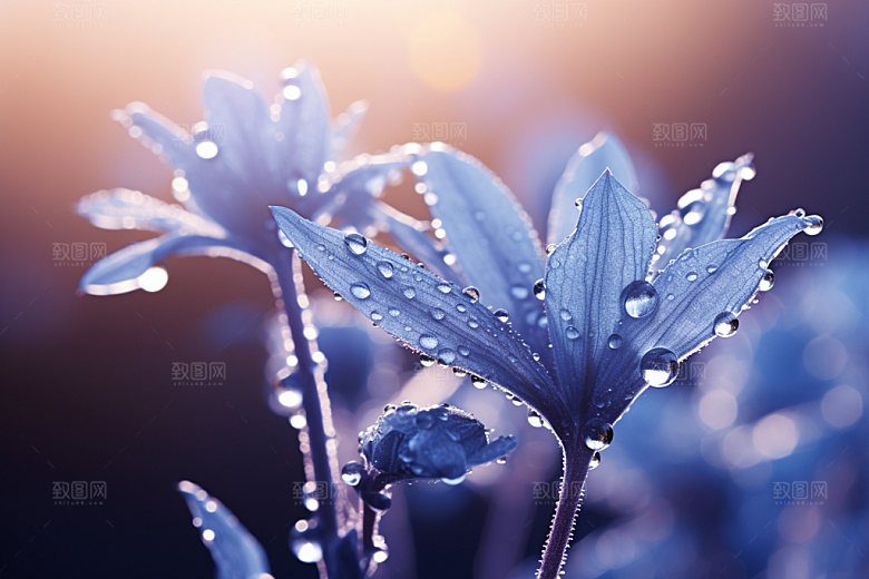 寒露十月季节摄影图
