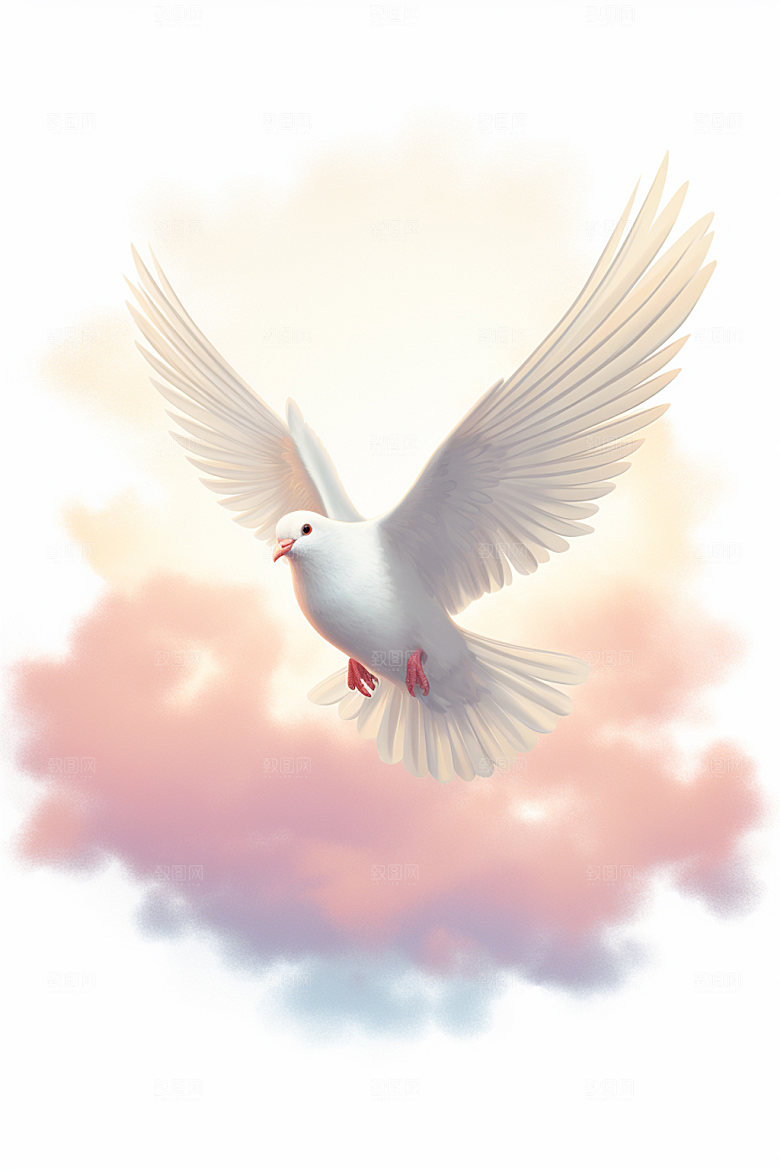 和平鸽高清手绘插画