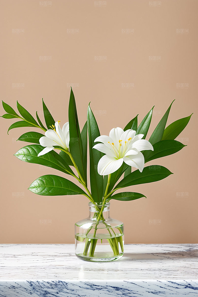 家居花瓶软装插画摄影图
