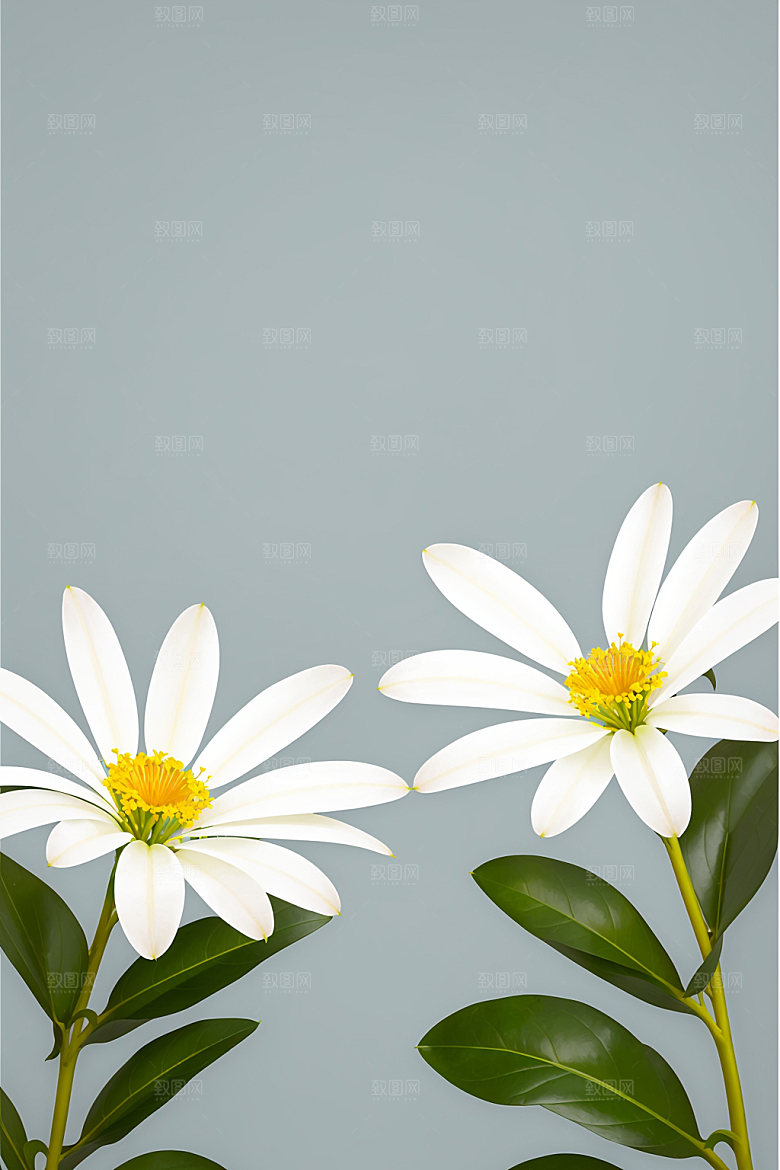 家居花瓶氛围感雅致摄影图