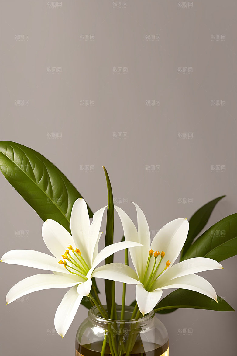 家居花瓶布置雅致摄影图