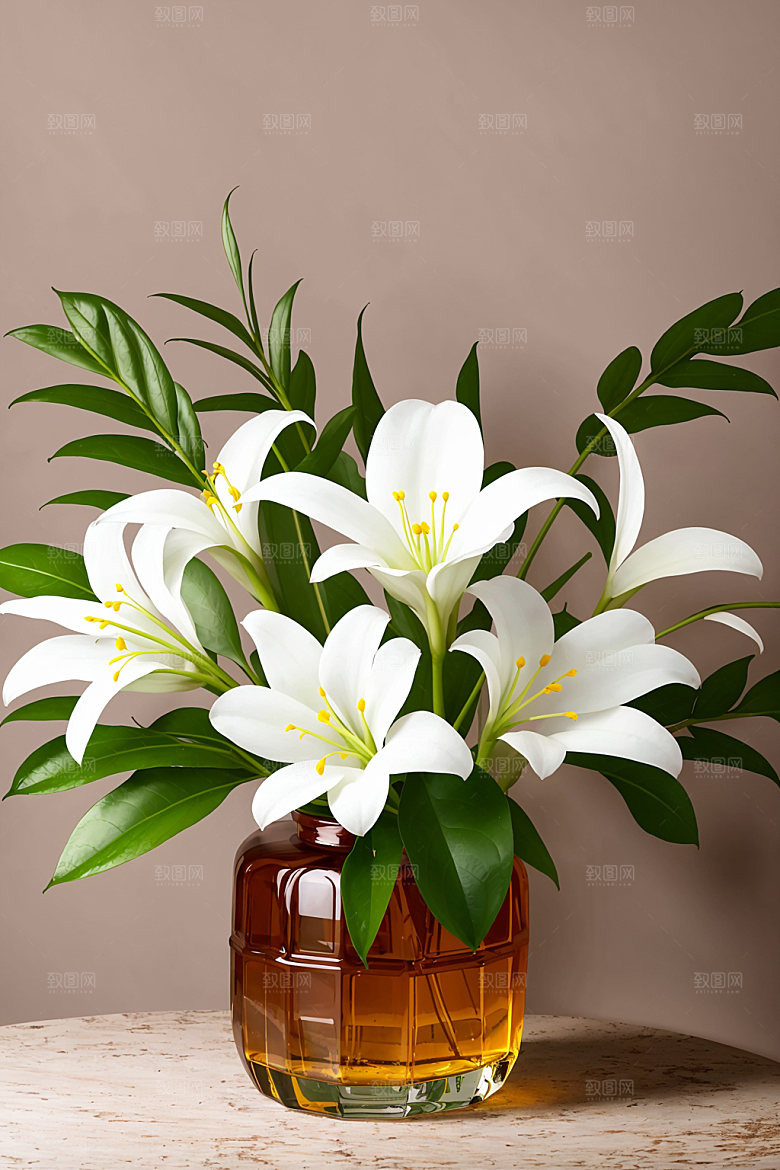 家居花瓶插画高清摄影图