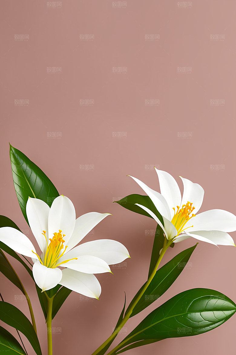 家居花瓶室内鲜切花摄影图
