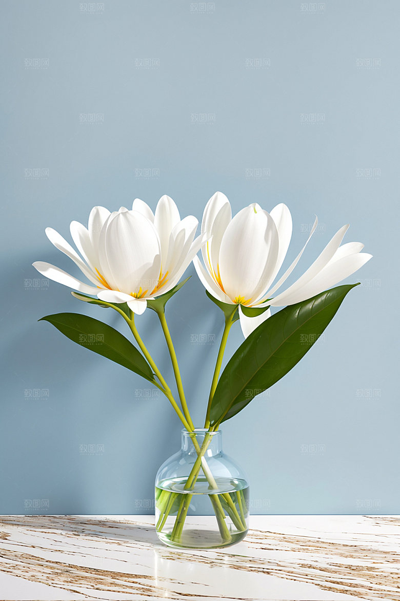 家居花瓶插画雅致摄影图
