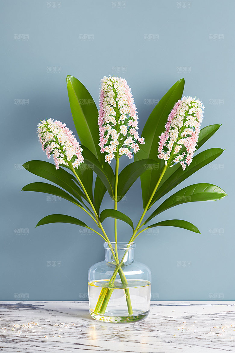 家居花瓶室内插画摄影图